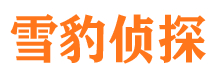 韶关外遇取证